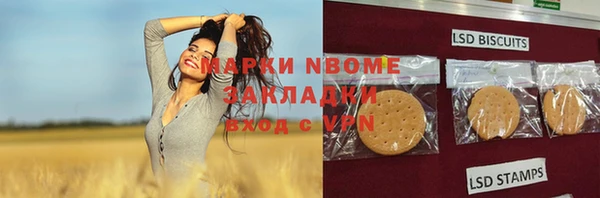 амф Пестово