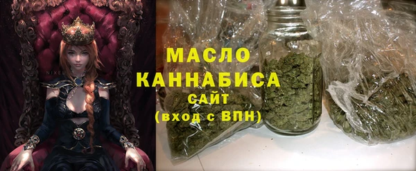 спиды Пересвет