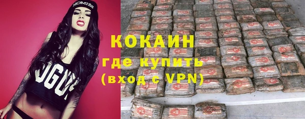 спиды Пересвет