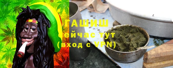 амф Пестово