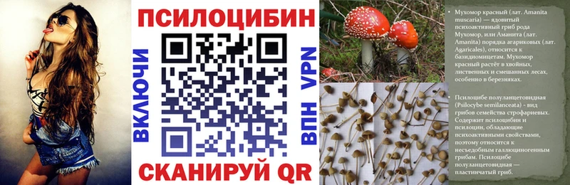 ОМГ ОМГ ONION Сергач Псилоцибиновые грибы Psilocybe